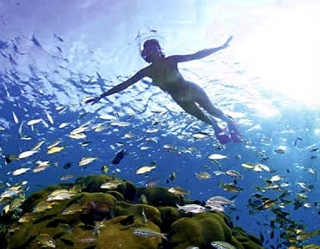 Snorkel en Rivera Maya